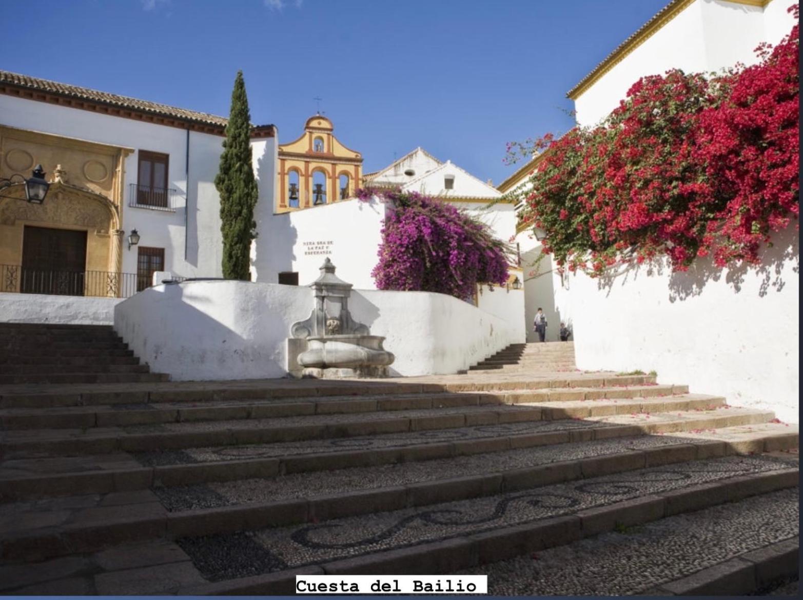 Centro- Apartamento Azonaicas Cordoba Luaran gambar